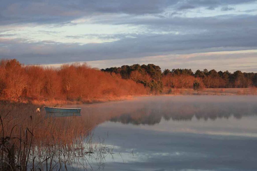 Gîte Commanday, Morcenx-la-Nouvelle - photo 6