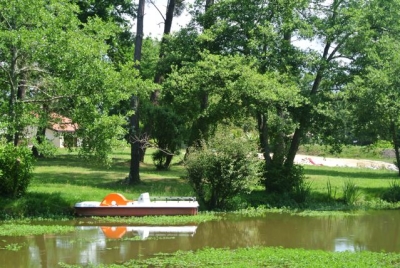 Patylandes - Plantade Patricia, Angresse - photo 11