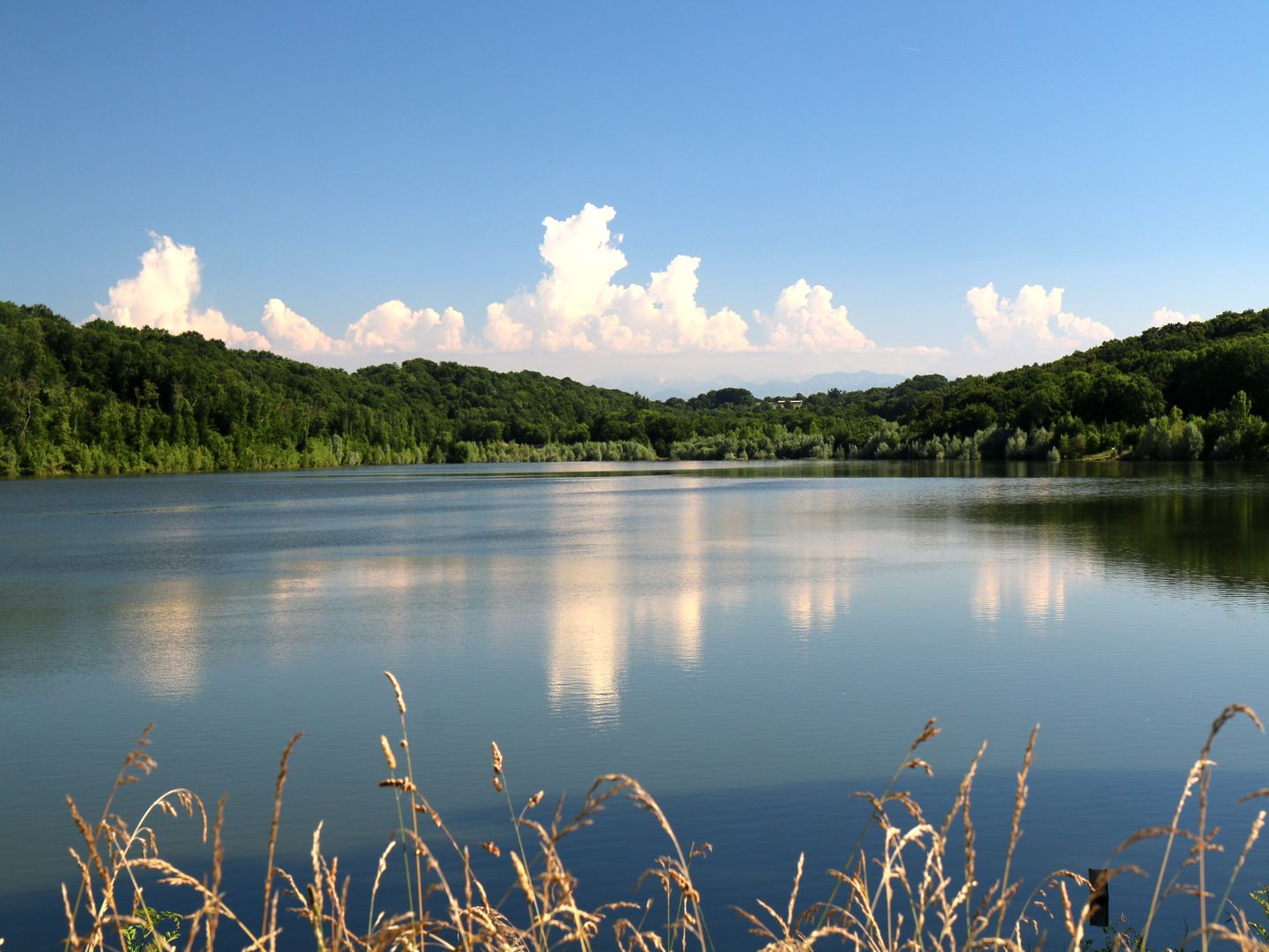 Garlin : la randonnée des Pacheras, Garlin - photo 5