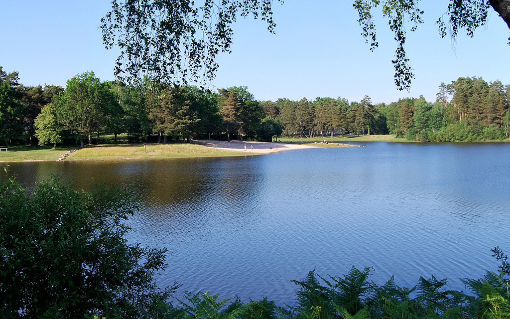 Circuit vélo et fromages en Xaintrie Blanche, Servières-le-Château - photo 4
