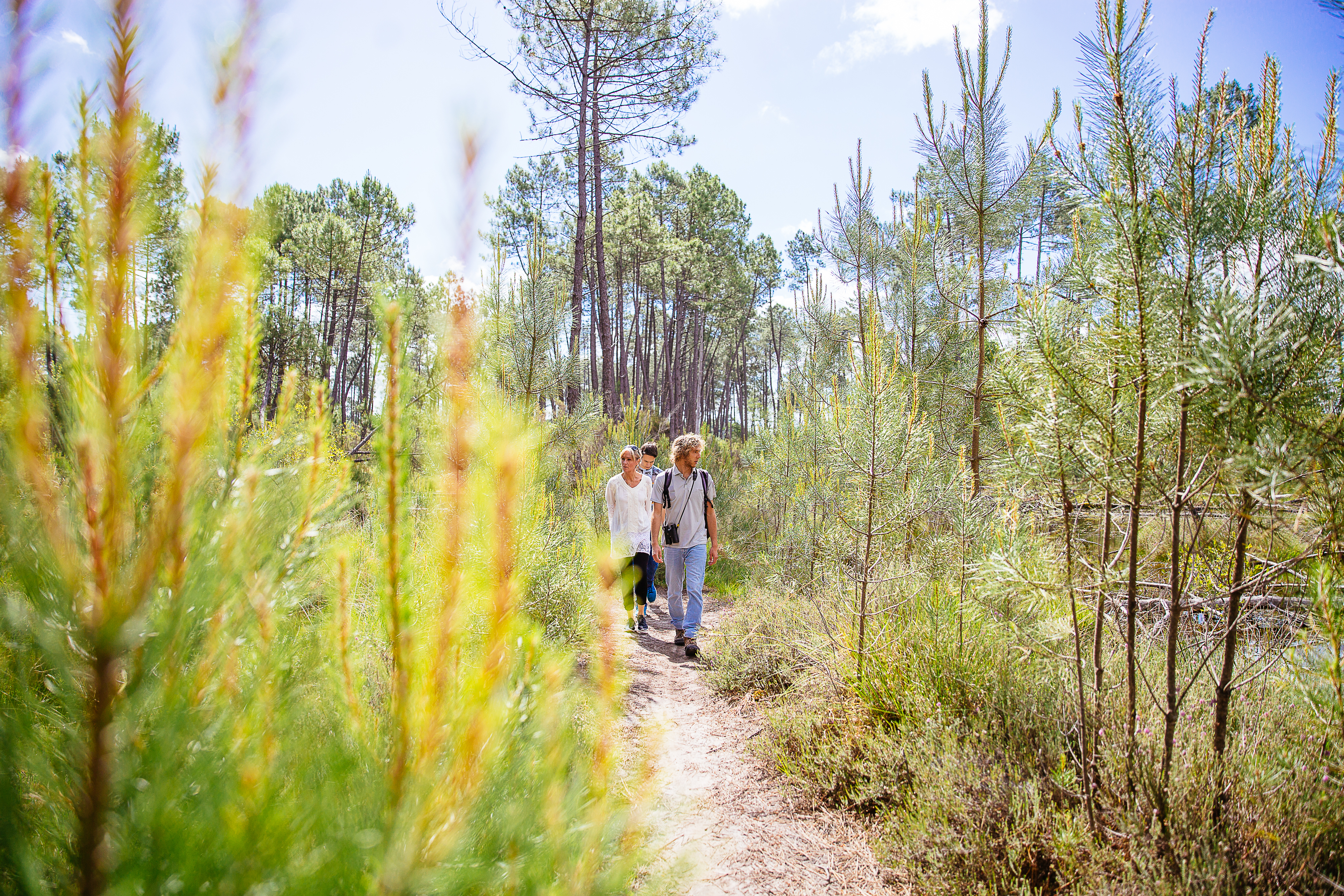 Petite boucle autour des lacs d'Hostens