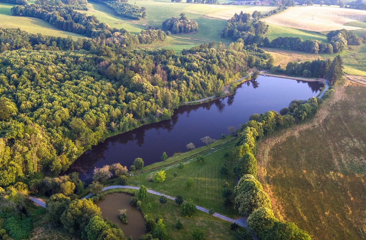 Domaine de Puyregonde - Gîte des Rosiers - photo 3