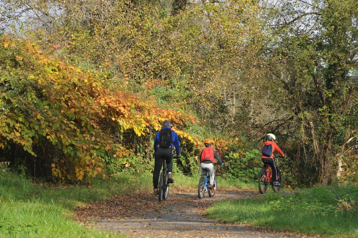 La voie verte de Laroin à Artiguelouve, Laroin