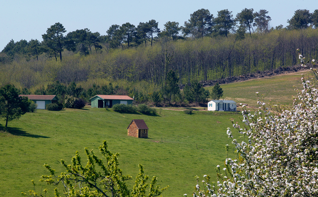La caussine haute - Chalet  Les Ecureuils