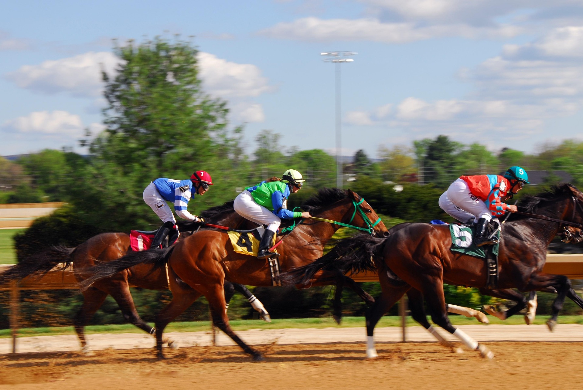 Courses Hippiques