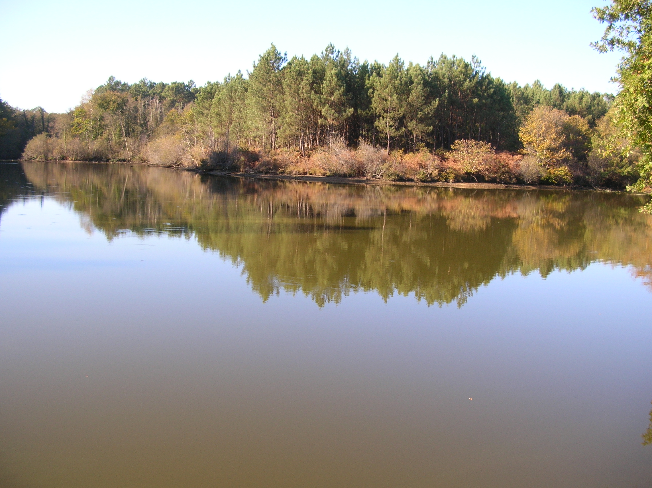 Étang du Lamond, Lacquy - photo 4