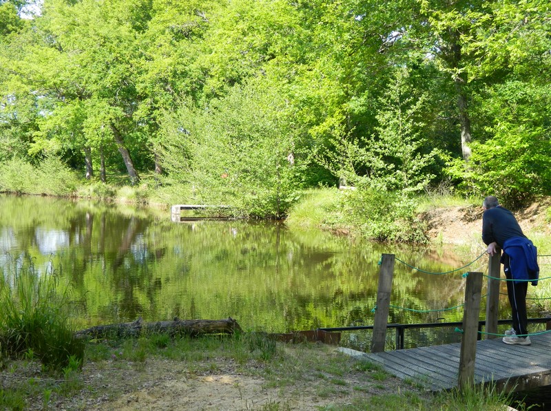 Étang du Lamond, Lacquy - photo 3