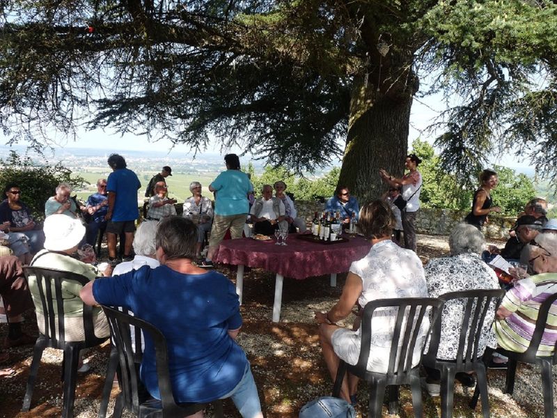 Château Ladesvignes - photo 2