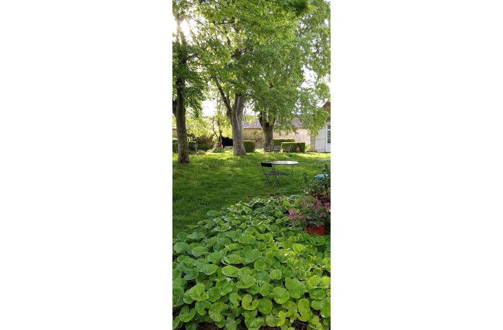 La Donzelle, Monsaguel - photo 4