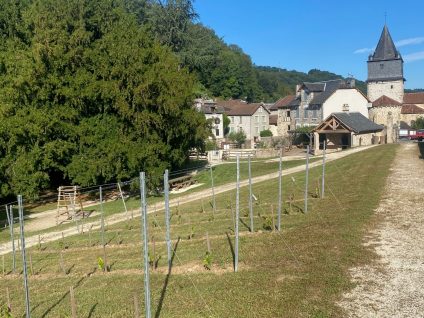Doaine de la Salvanie : Parc