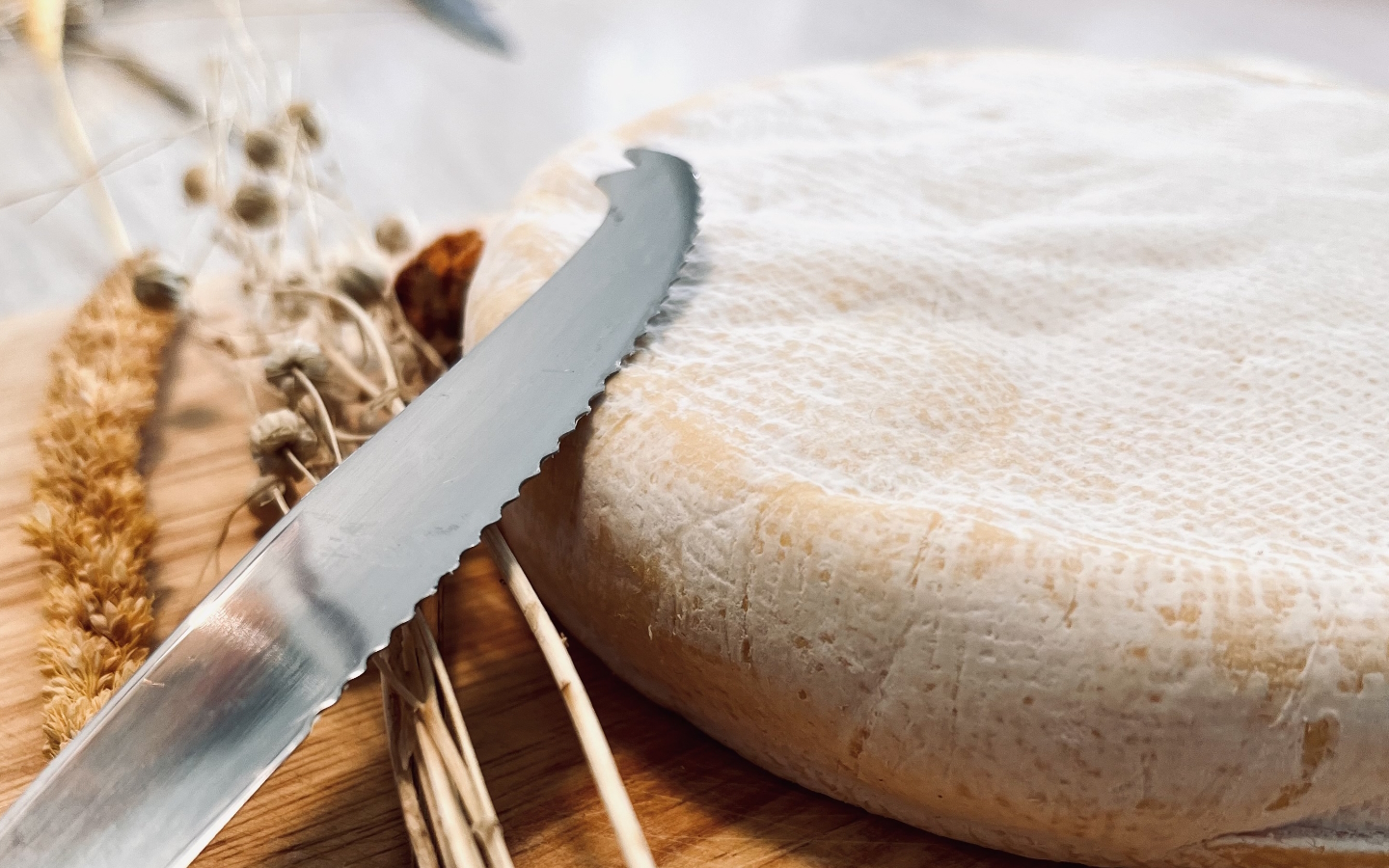 SAS Laiterie de la Nive - photo 2