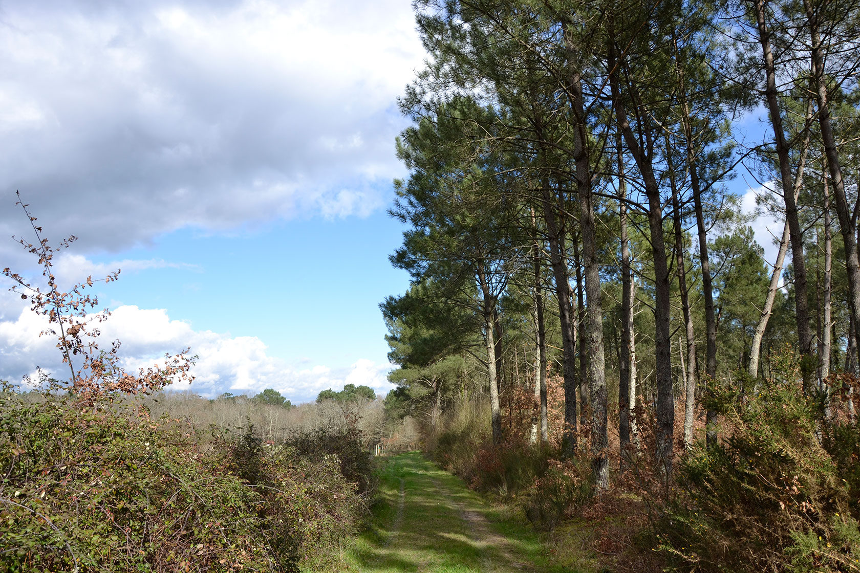 Boucle de Terrebas - photo 2