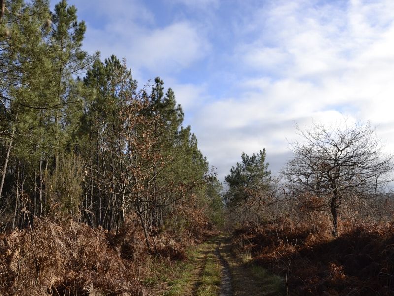 Boucle de Cadane - photo 2