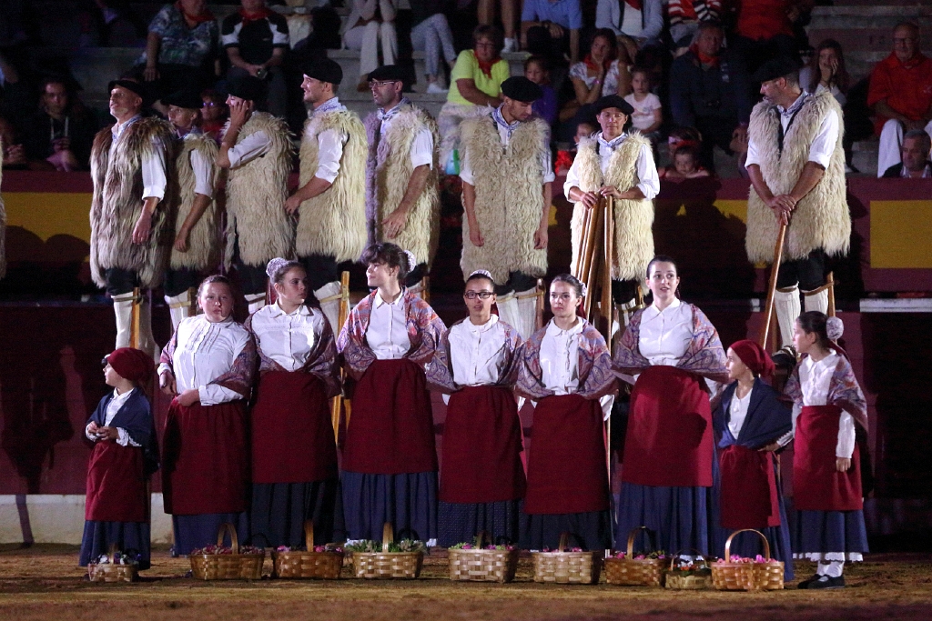 Spectacle Landes Emotions, Parentis-en-Born - photo 5