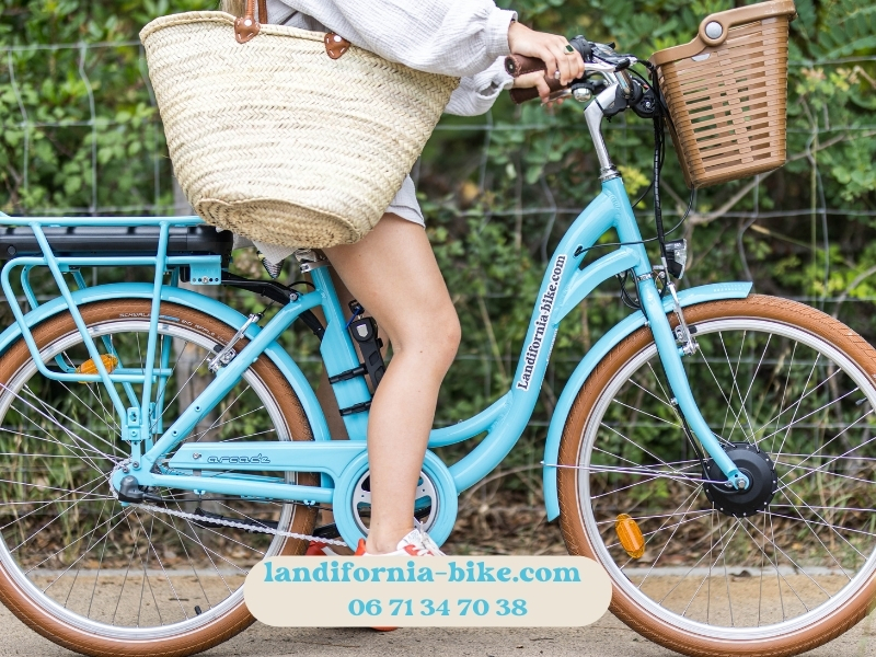 Landifornia Bike - photo 4