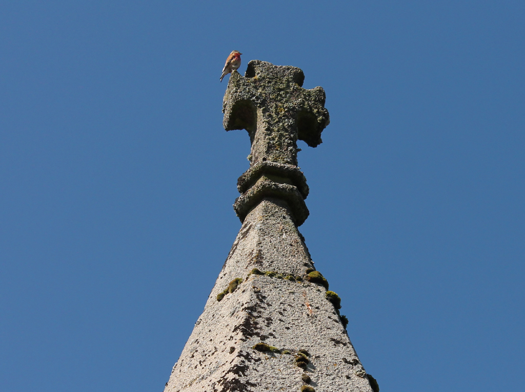Lanterne des morts de La Souterraine, La Souterraine