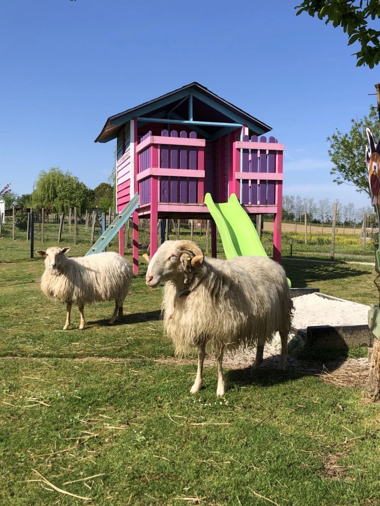 La petite ferme de Pouillon