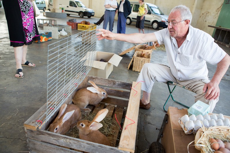 Marché traditionnel du Mercredi - photo 2