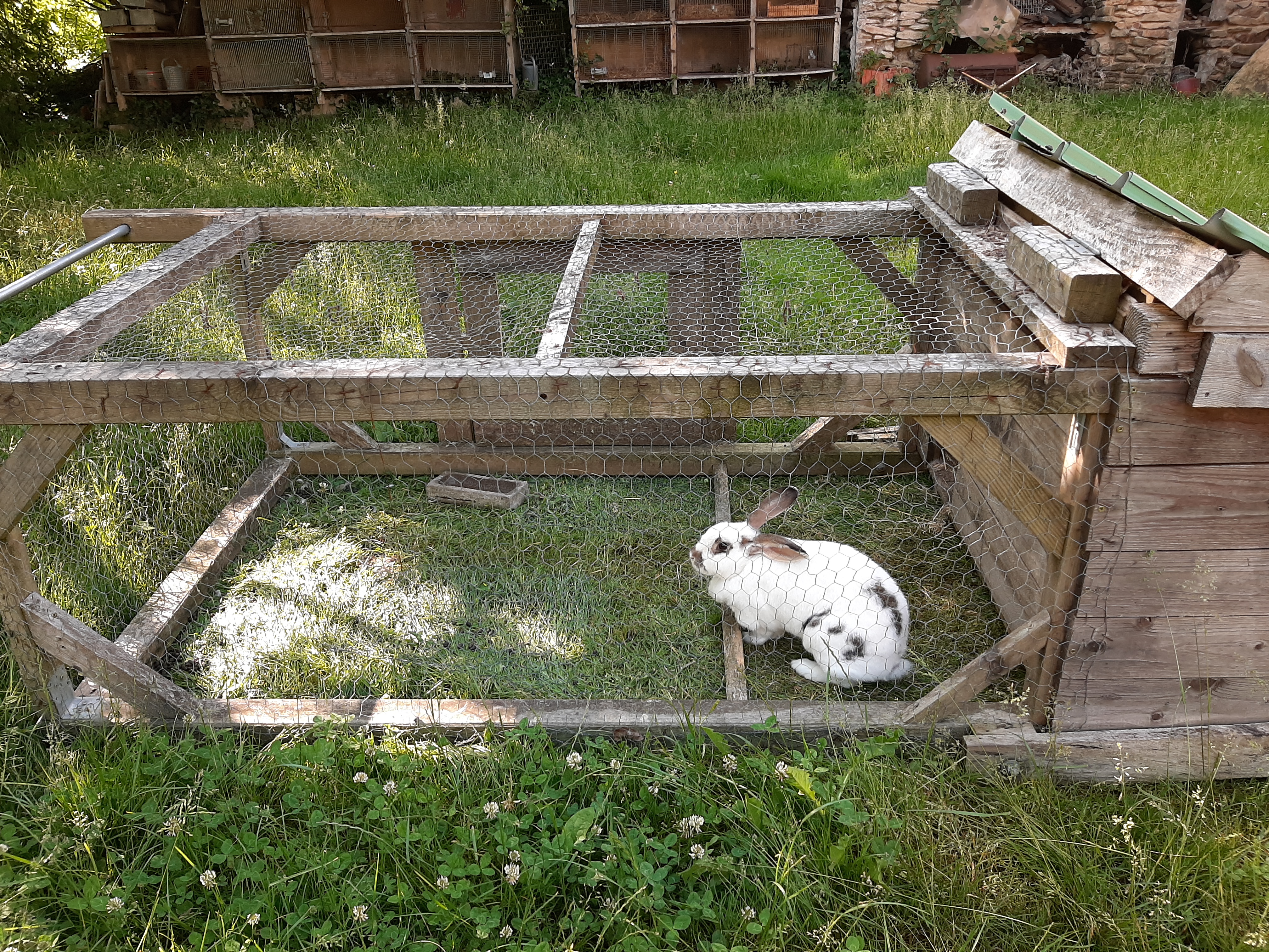 Camping à la ferme Les Sauvageons, Sainte-Anne-Saint-Priest - photo 5