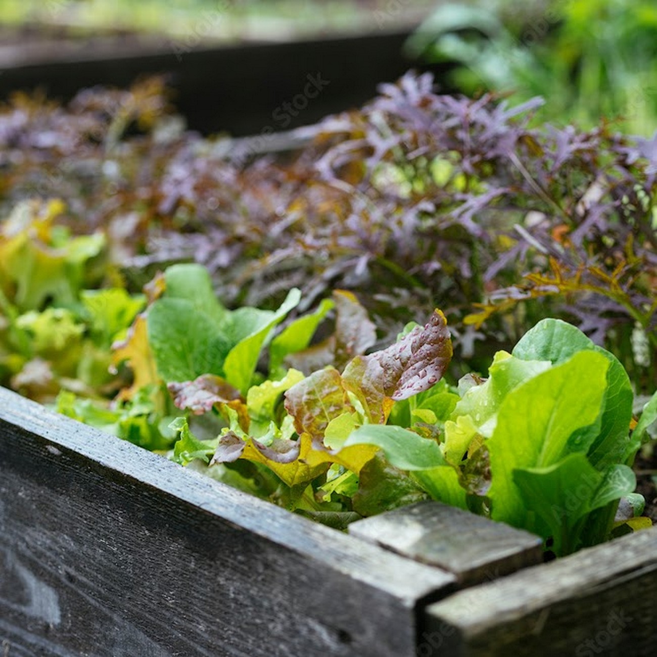 Ferme Rocher Branlant, Largeasse - photo 5