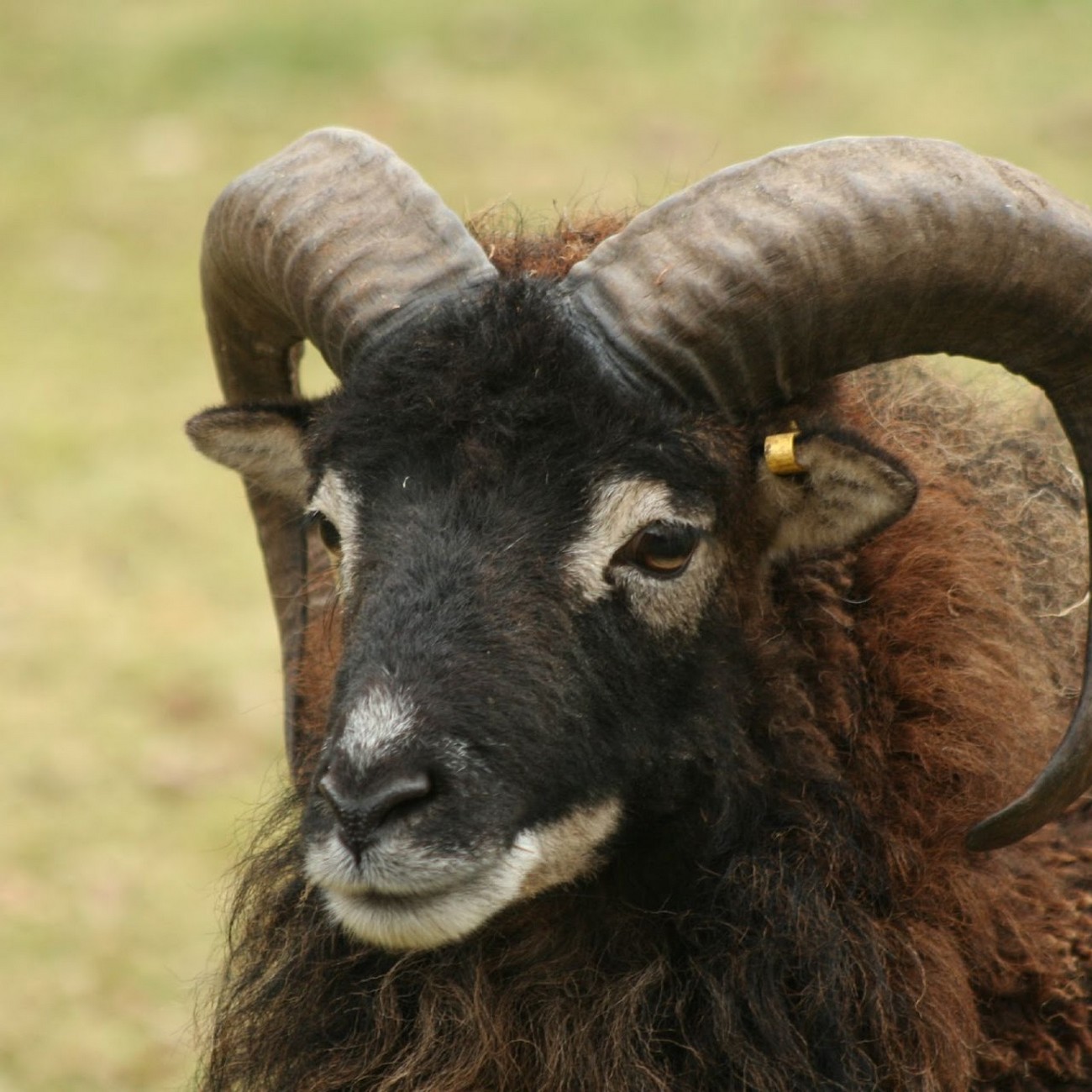Ferme Rocher Branlant