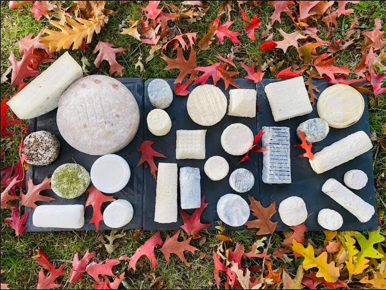 Fromagerie La Barotière