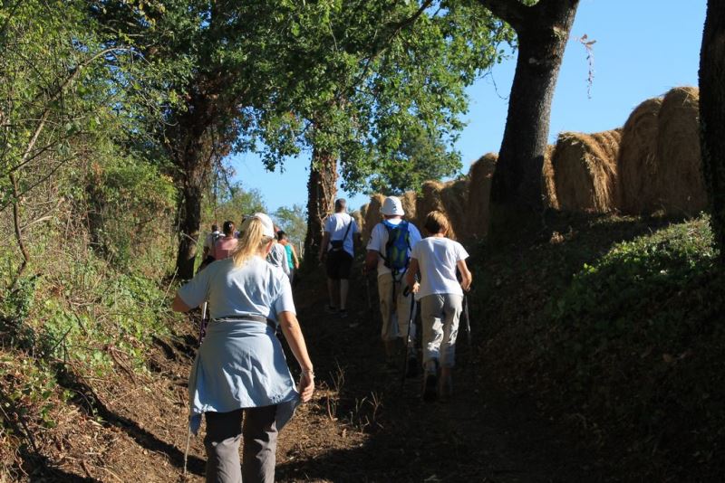 Pont Roman, La Sauvetat-du-Dropt - photo 8