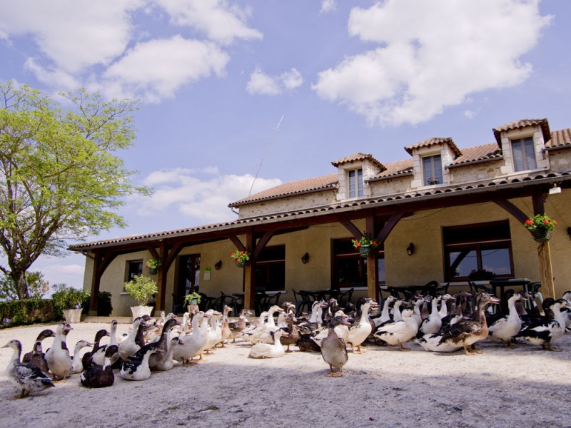 Ferme de Grande Maison