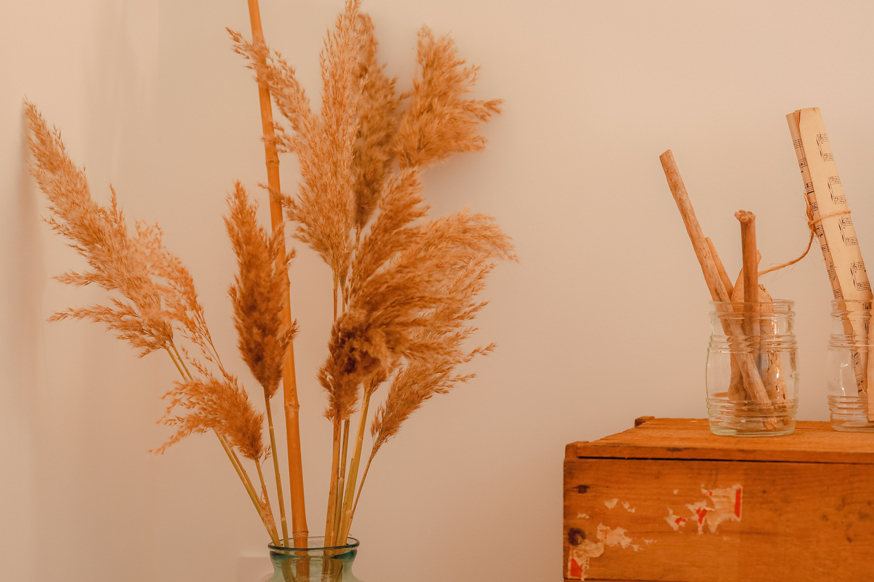 Maison 15, Sauternes - photo 6