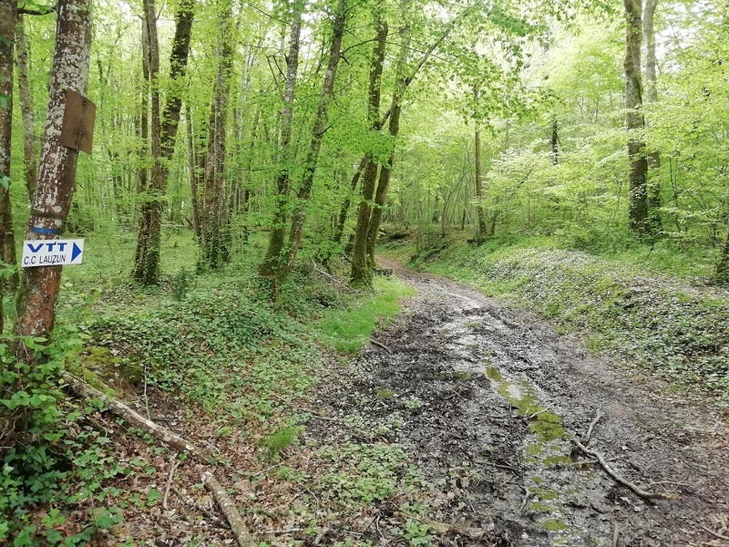 Circuit VTT 1 - La Forêt de Caussegros, Lauzun