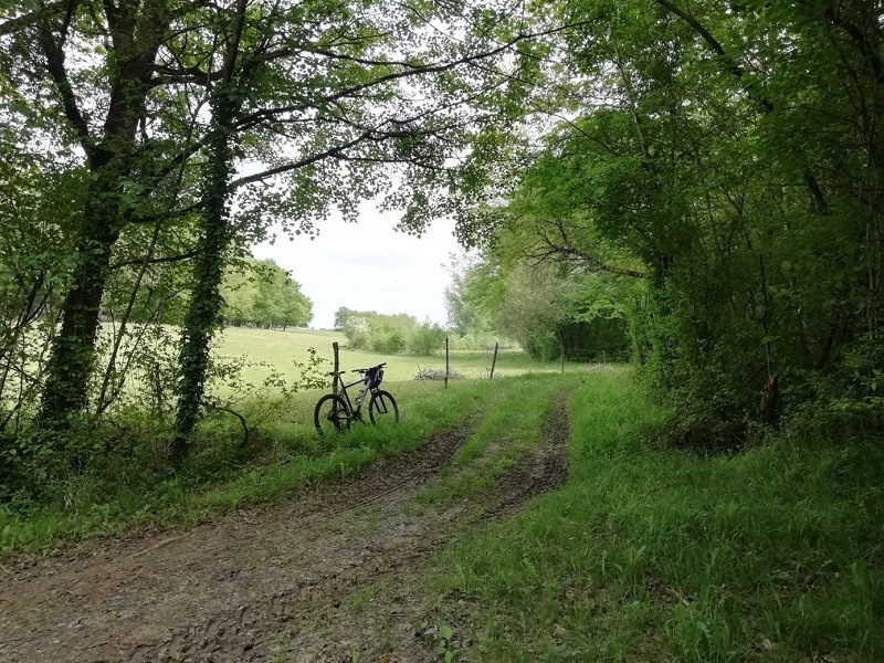Circuit VTT 1 - La Forêt de Caussegros, Lauzun - photo 2