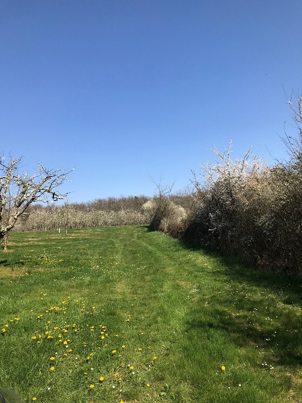 Circuit VTT 2 - La Vallée du Dropt, Lauzun - photo 7