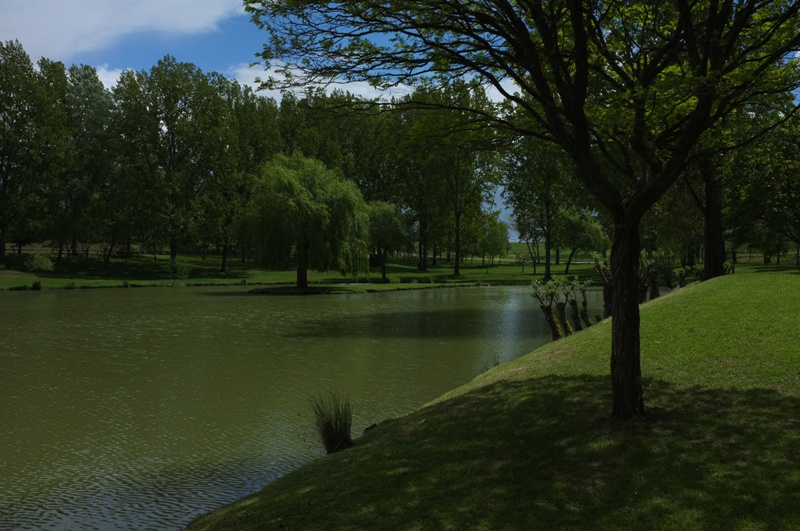 Parcours de pêche Famille, Lac de Lauzun