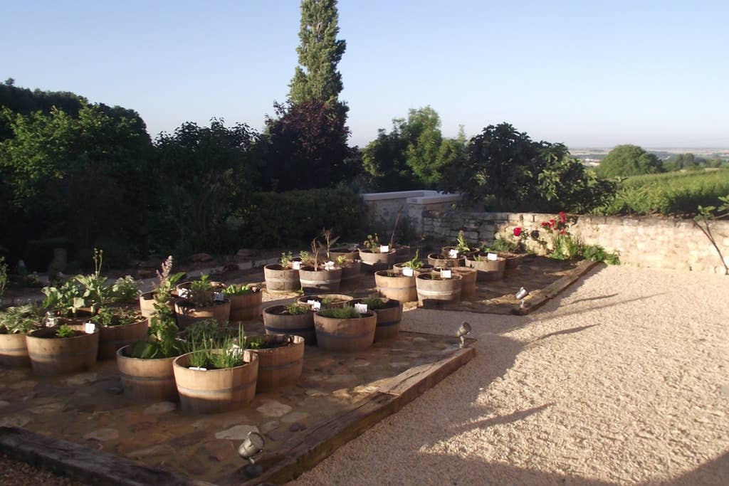 Manoir de Lavauguyot - photo 2