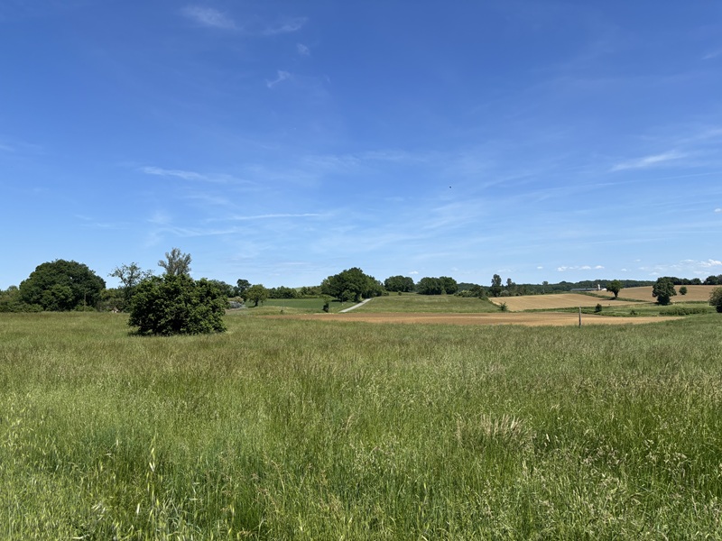 La Chartreuse, Lavergne - photo 4
