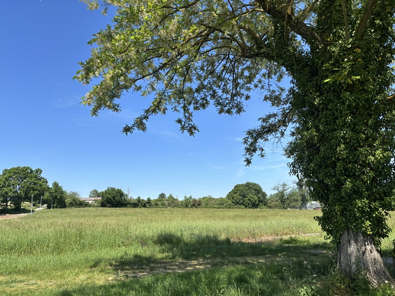 La Chartreuse, Lavergne - photo 2