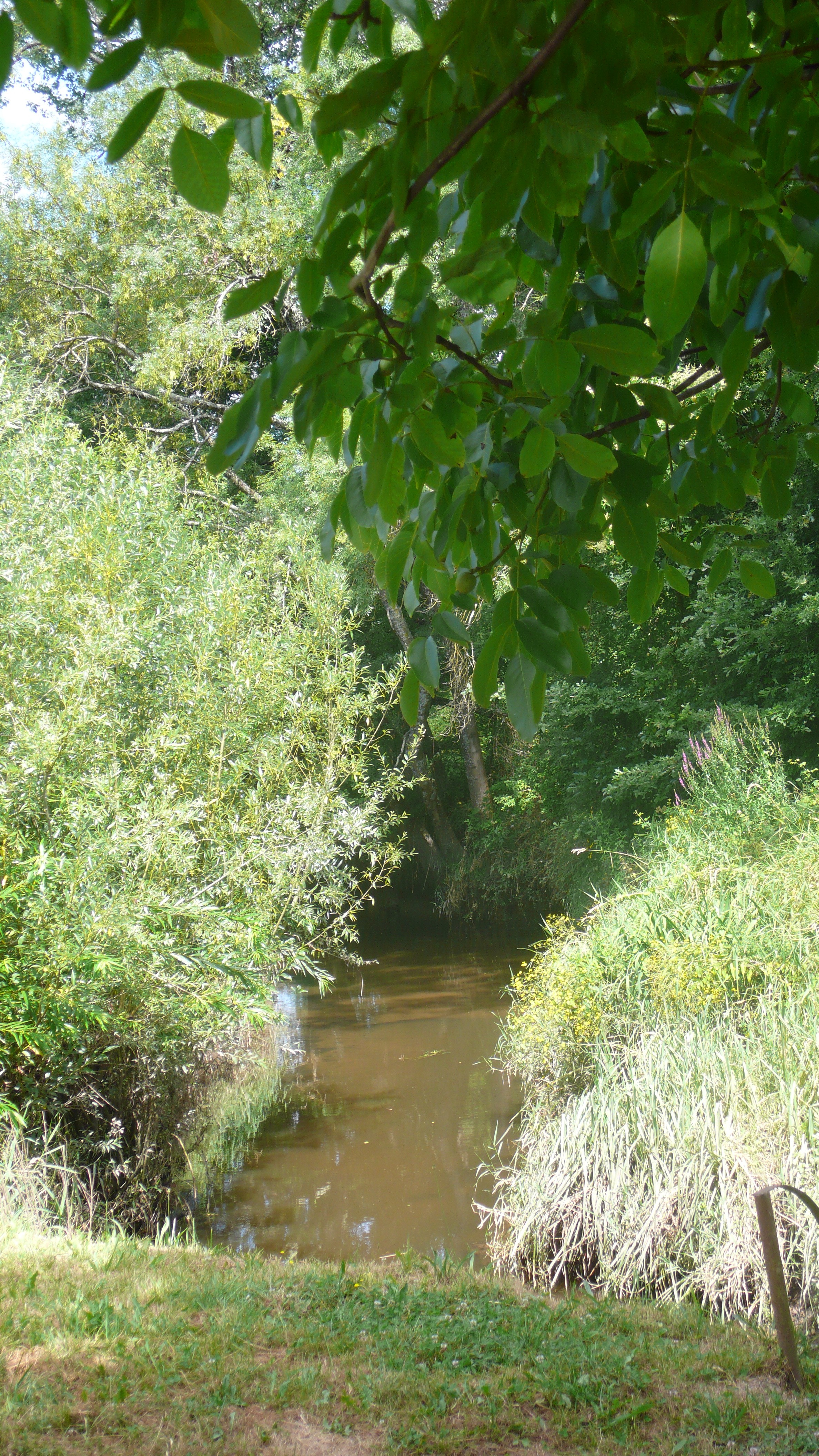 Lavoir de Castres-Gironde