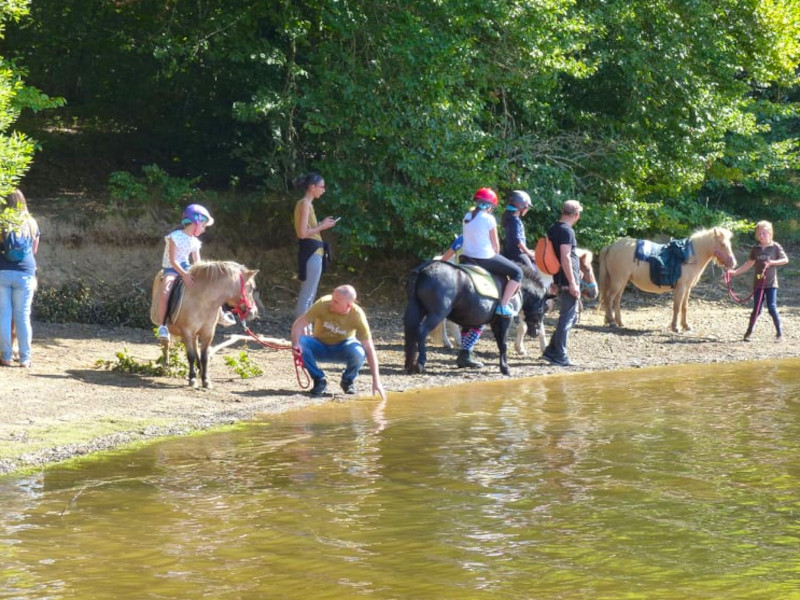Les Crins d'Ayla, Liginiac - photo 4
