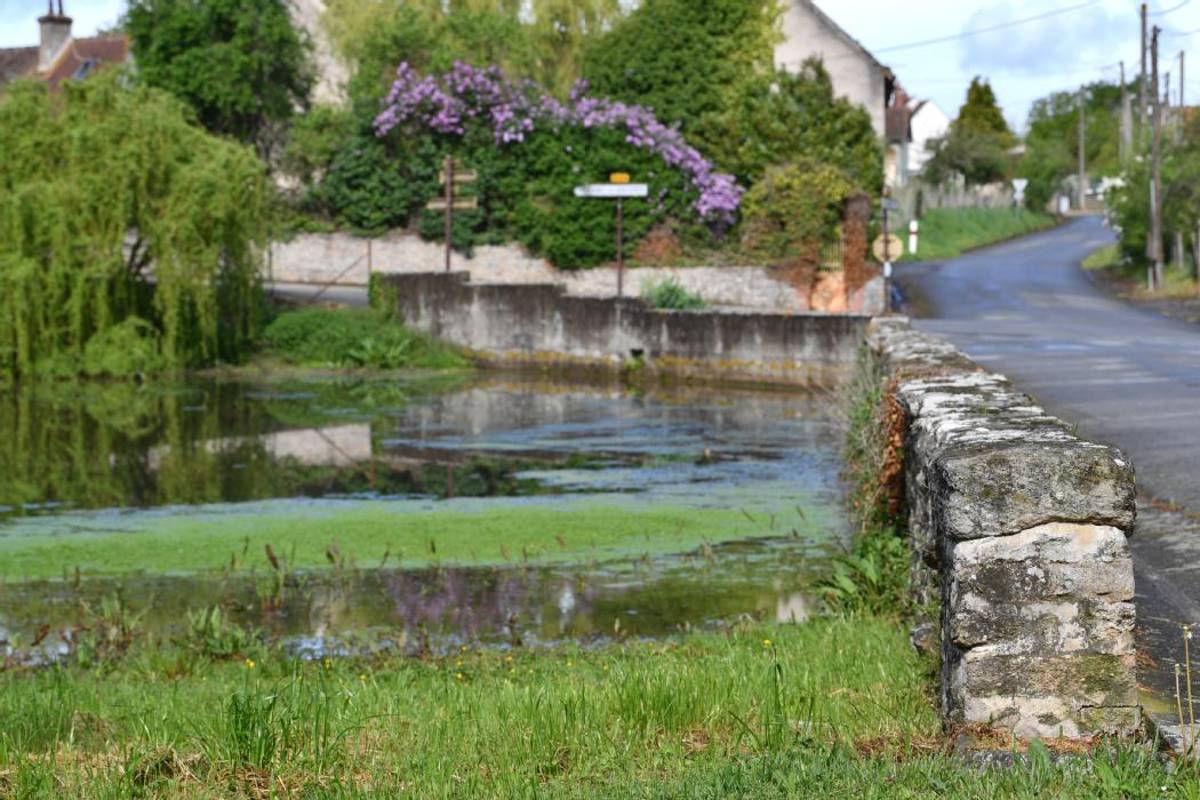 Le héron et la tortue, Saint-Martin-le-Mault