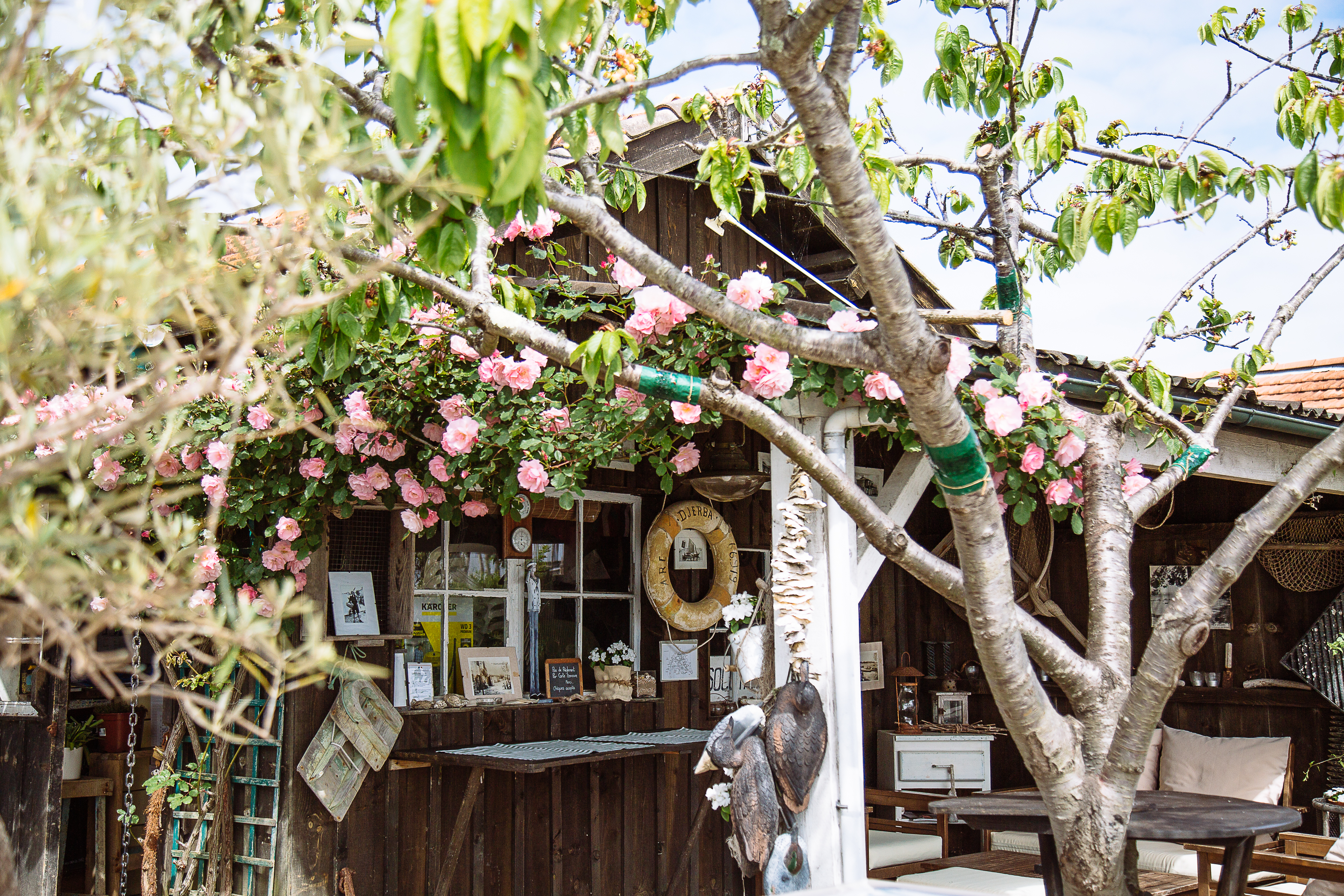 Plages du Bassin - Le Canon/La Vigne, Lège-Cap-Ferret - photo 9