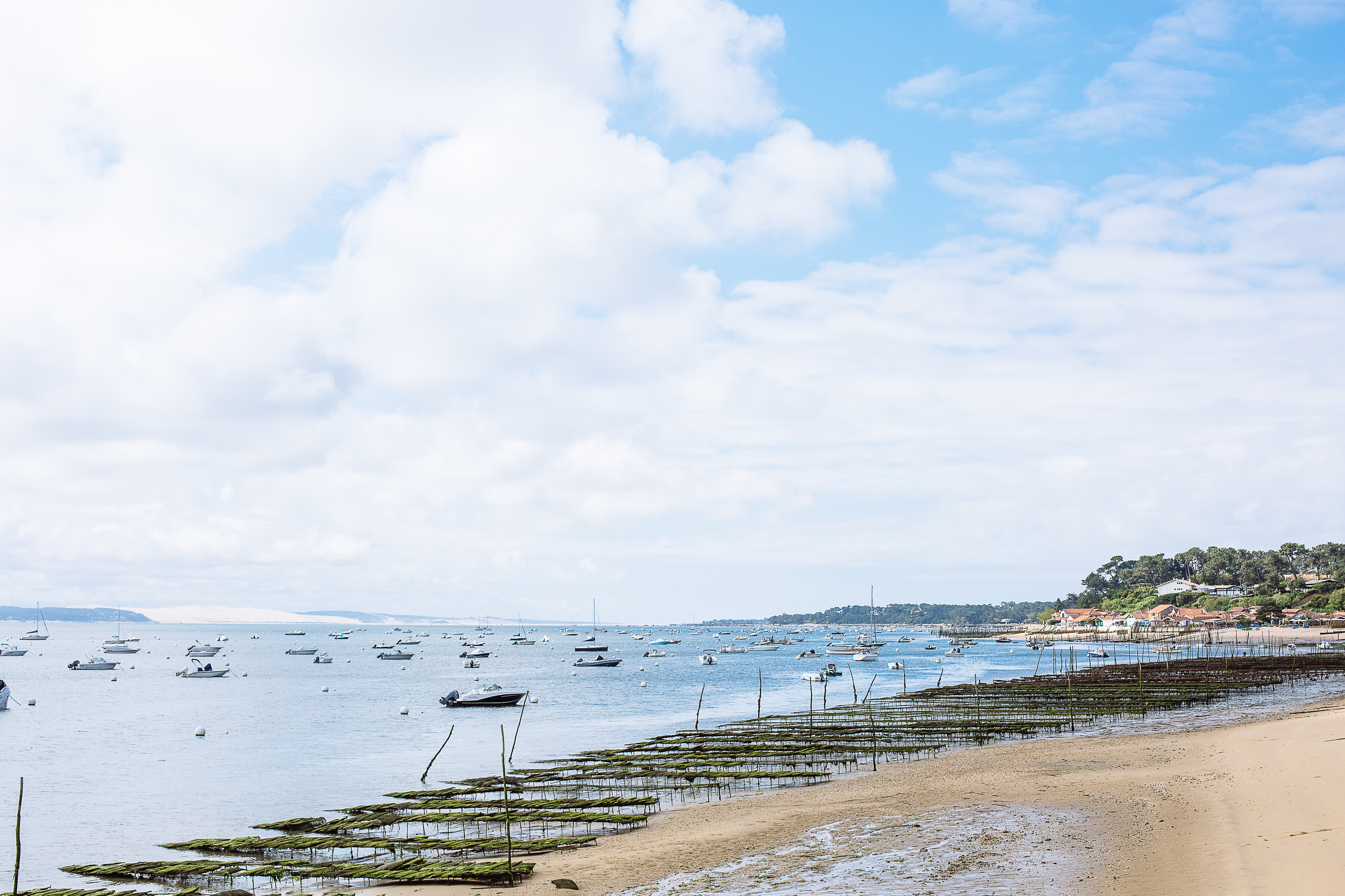 Plages du Bassin - Le Canon/La Vigne, Lège-Cap-Ferret - photo 4