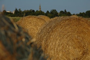 Chambres et table d'hôtes Le Chintre, Lalandusse - photo 7