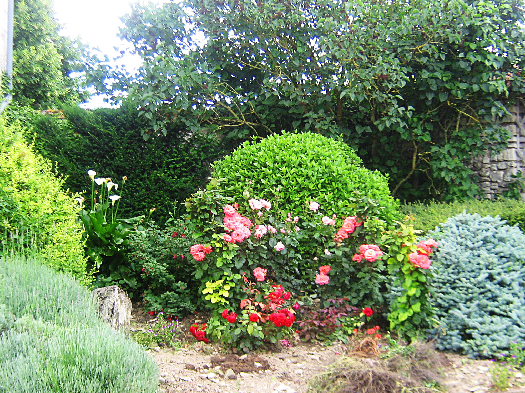 Le Fief du Verger Gazeau, Chouppes - photo 8