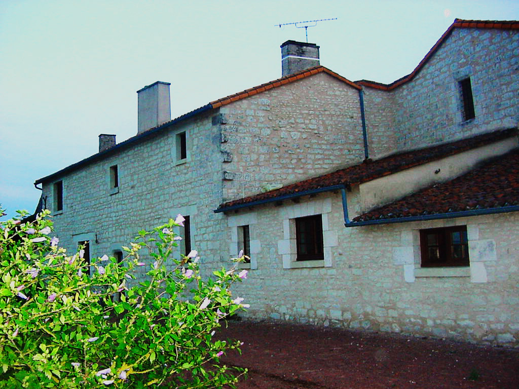 Le Fief du Verger Gazeau, Chouppes - photo 4