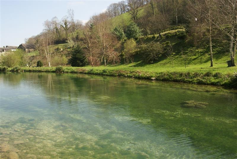 Les Truites du Haut-Barétous