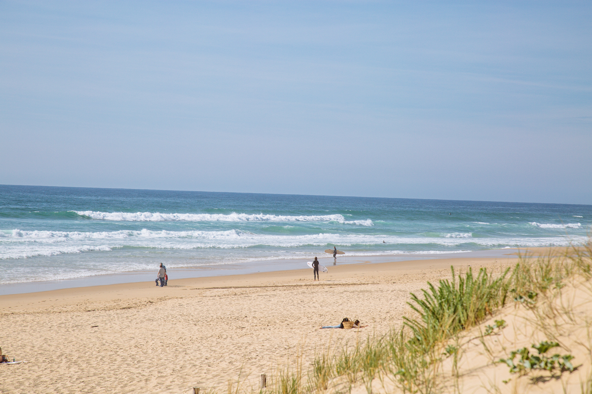 Plages océanes et forêt - Lège Petit Crohot, Lège-Cap-Ferret
