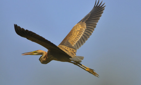 Lac du Salabert, Lacépède - photo 4