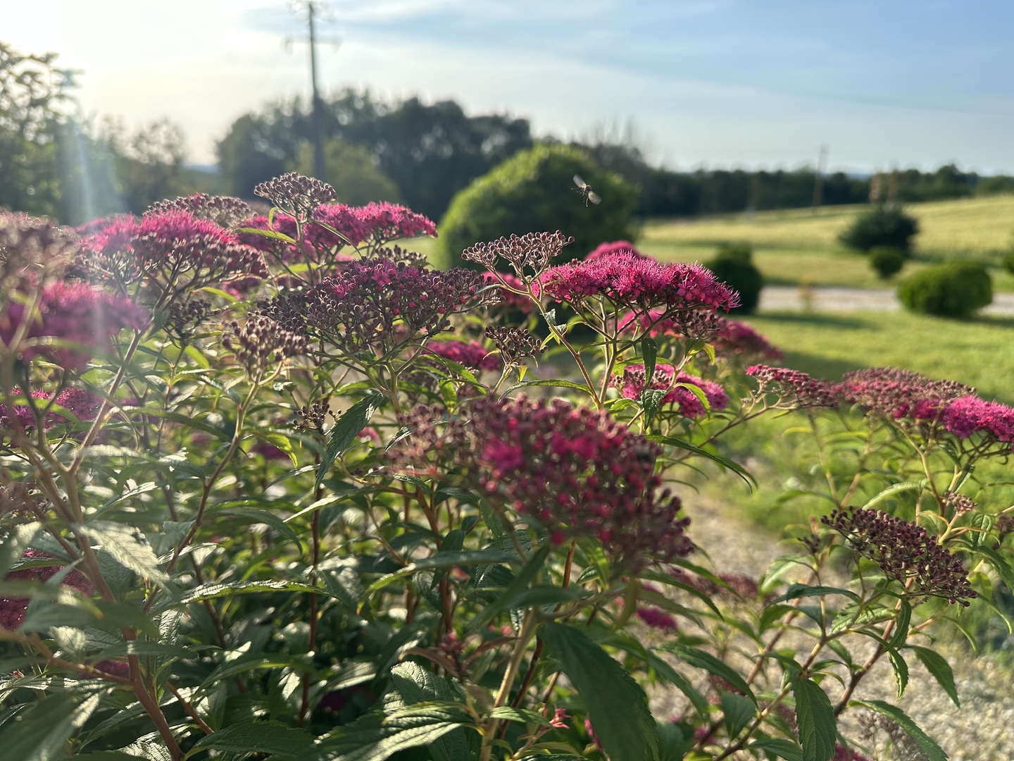Le Joulx, Valojoulx - photo 13