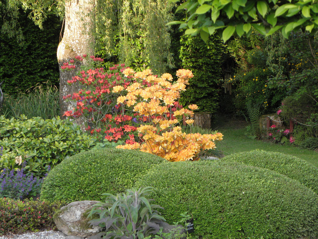 Le Jardin d'Arsac, Saint-Fréjoux - photo 11