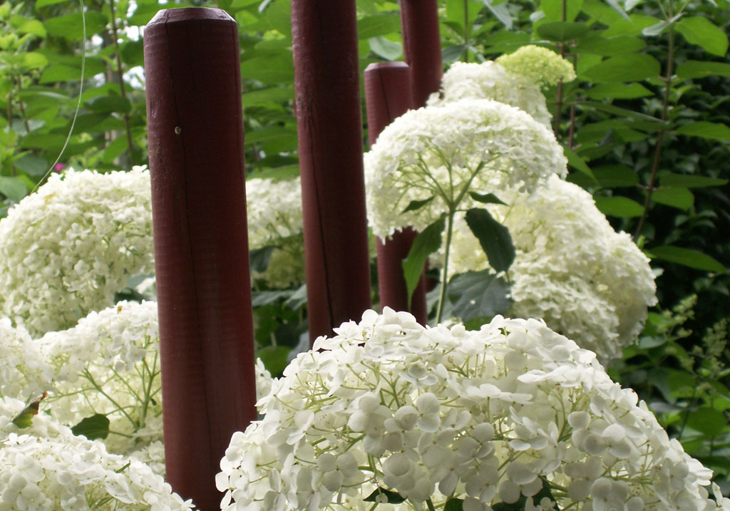 Le Jardin d'Arsac, Saint-Fréjoux - photo 2